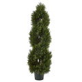 4' Pond Cypress Topiary UV Rest w/1036 Lvs (Indoor/Outdoor)
