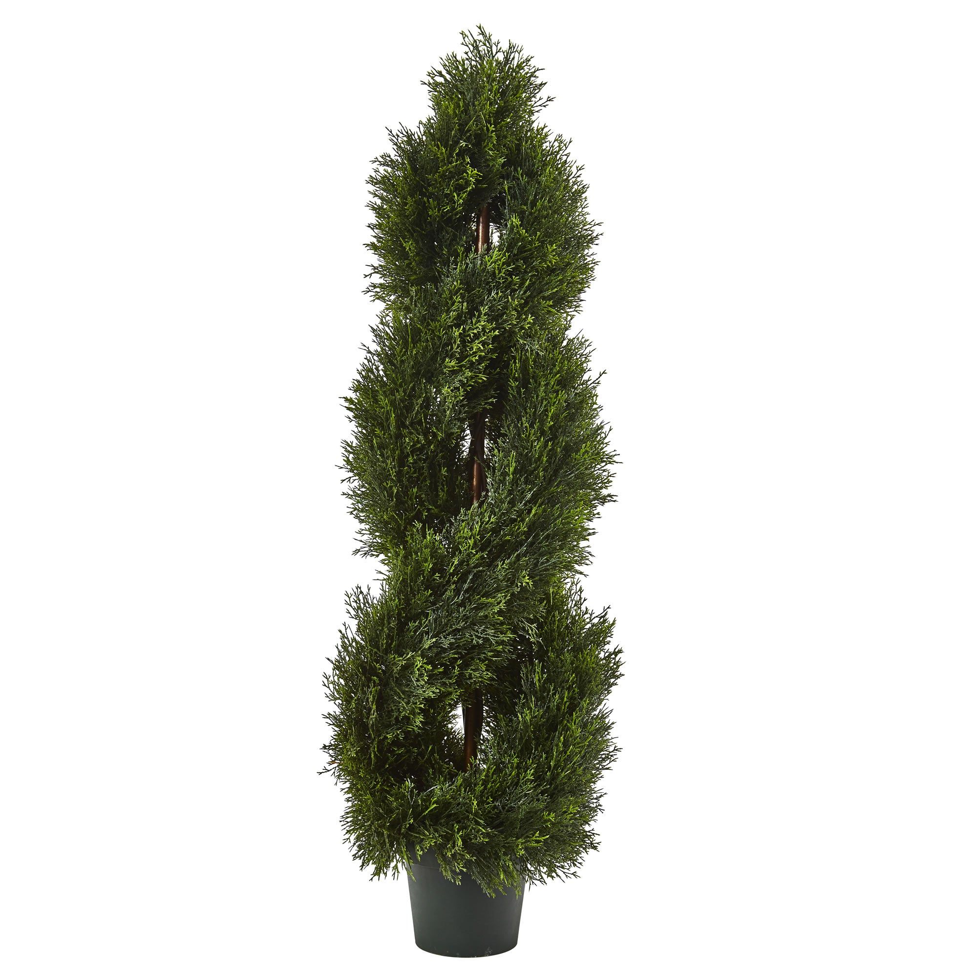 4' Pond Cypress Topiary UV Rest w/1036 Lvs (Indoor/Outdoor)