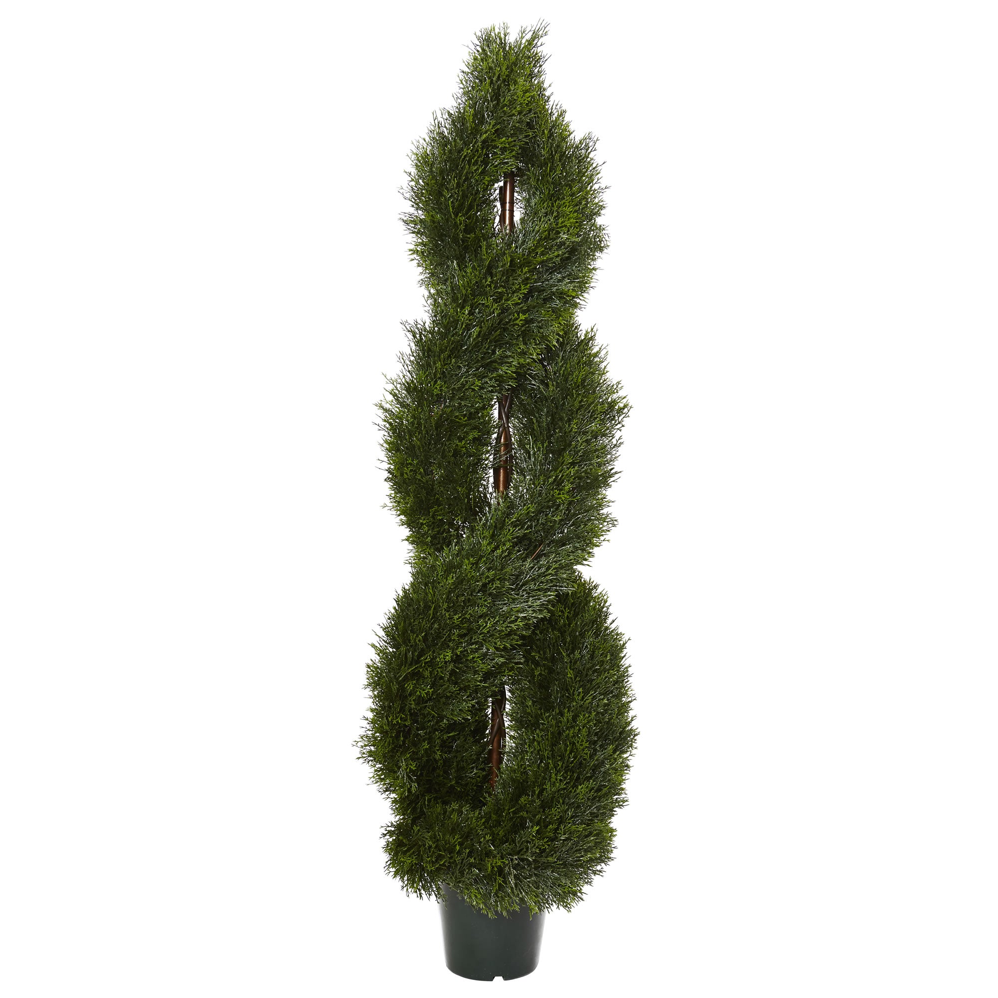 5' Pond Cypress Topiary UV Rest w/1702 Lvs (Indoor/Outdoor)