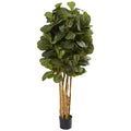 5' Fiddle Leaf Fig Tree