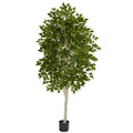 6' Birch Tree