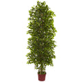 6'  4 Tier Mini Ficus w/3105 L UV Resistant (Indoor/Outdoor)