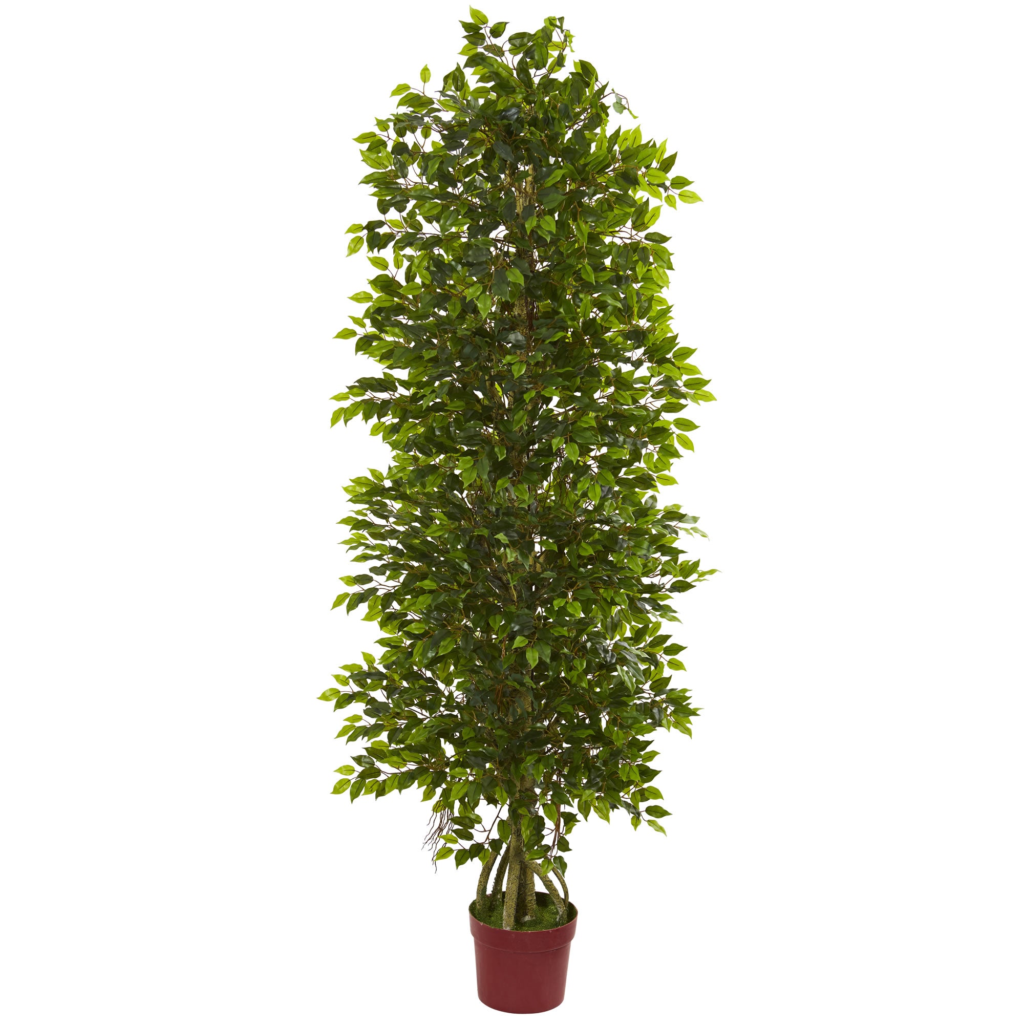 6'  4 Tier Mini Ficus w/3105 L UV Resistant (Indoor/Outdoor)