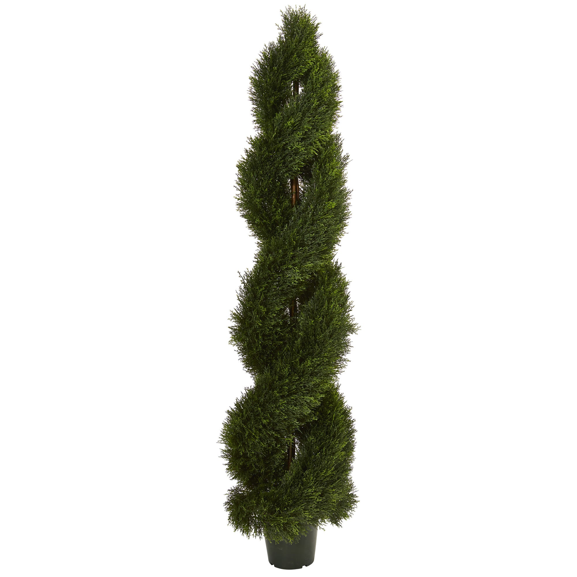 6' Double Pond Cypress Spiral Top UV Res (Indoor/Outdoor)