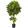 5' Schefflera Tree UV Resistant (Indoor/Outdoor)