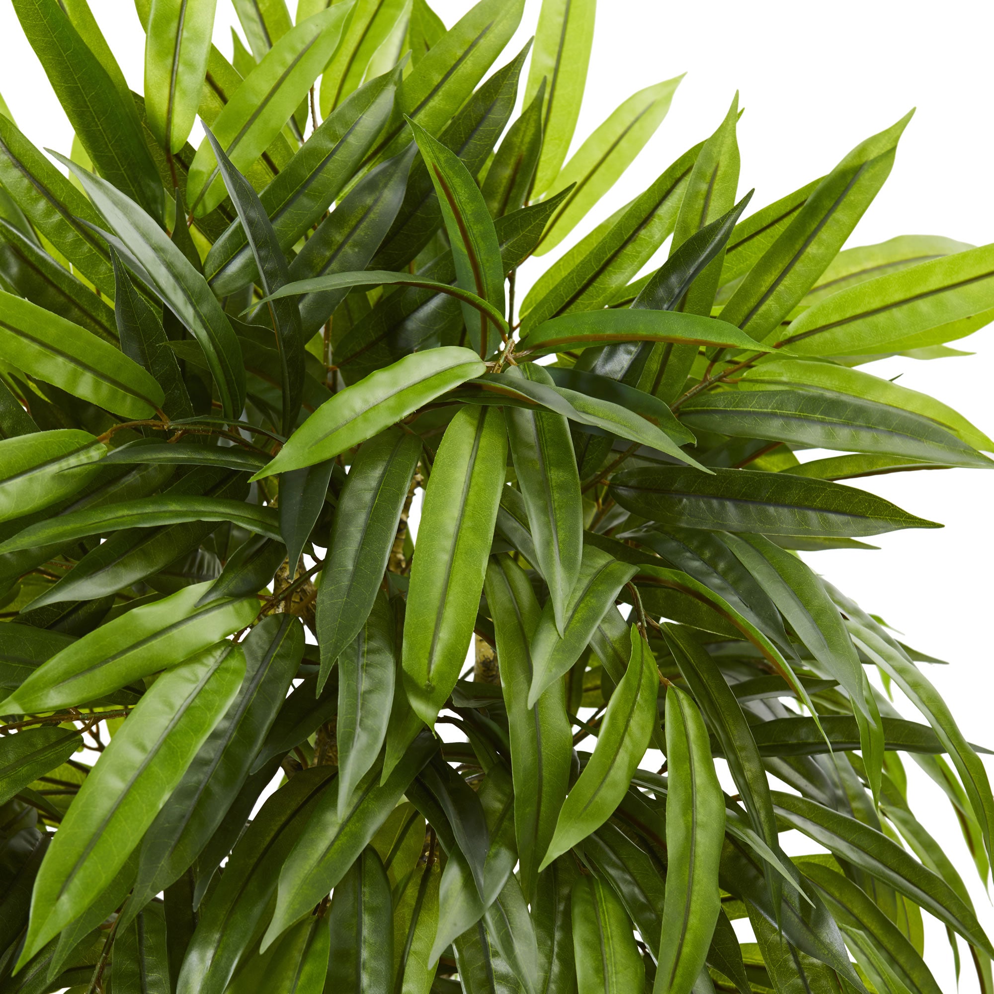 4.5' Slim Mango UV Resistant (Indoor/Outdoor)
