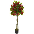 5' Bougainvillea Topiary Tree