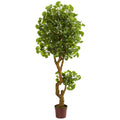 6' Jingo Tree UV Resistant (Indoor/Outdoor)