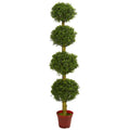 6' Four Tier Boxwood Topiary UV Resistant (Indoor/Outdoor)