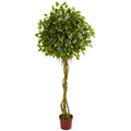 6' Ficus Tree Topiary UV Resistant (Indoor/Outdoor)