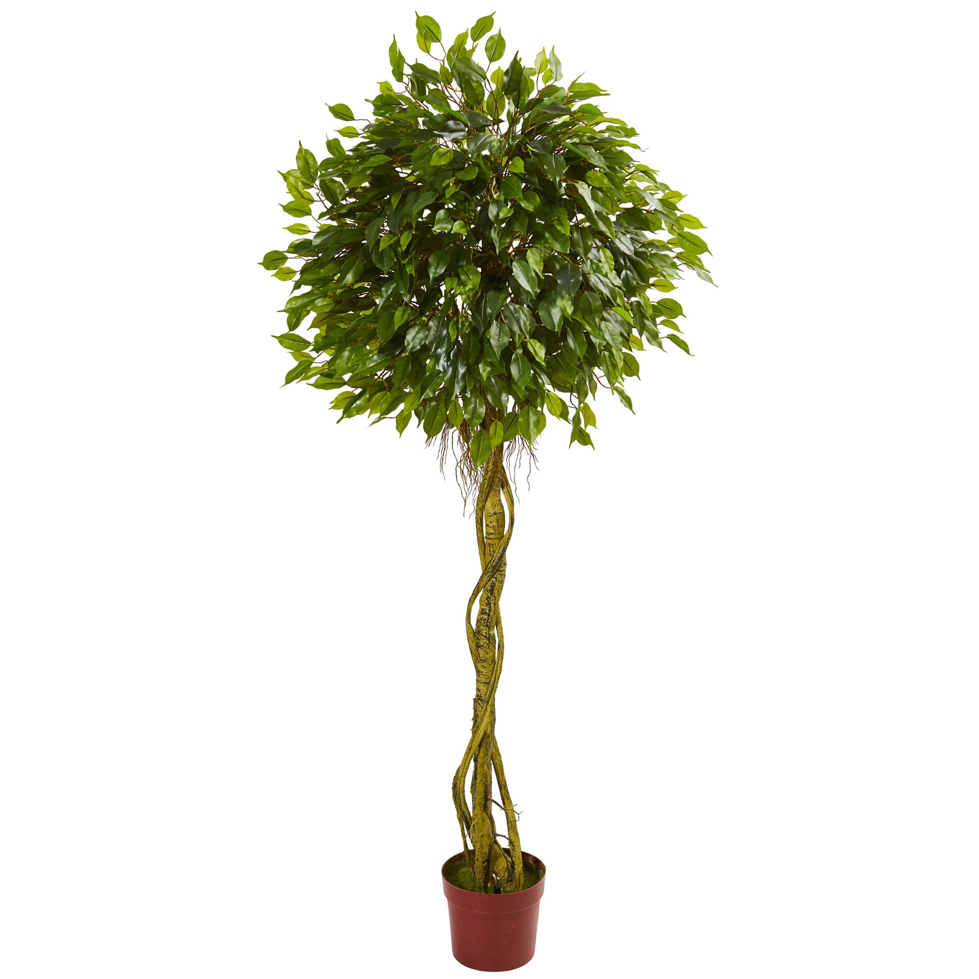 6' Ficus Tree Topiary UV Resistant (Indoor/Outdoor)