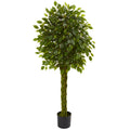 5' Ficus Tree w/Braided Trunk UV Resistant (Indoor/Outdoor)