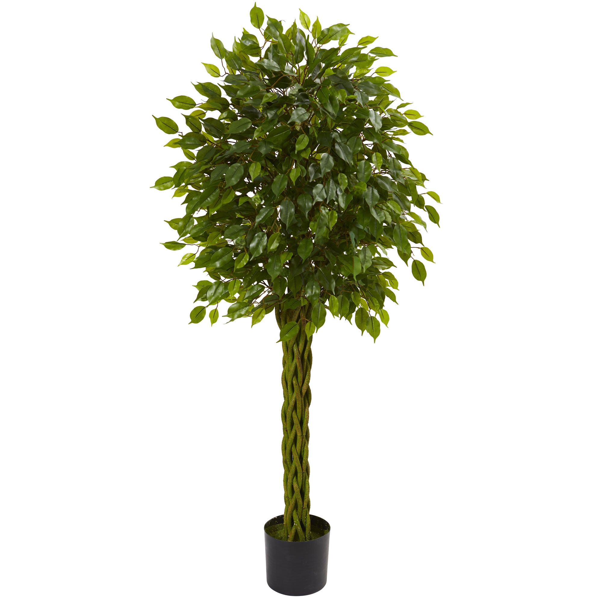 5' Ficus Tree w/Braided Trunk UV Resistant (Indoor/Outdoor)