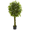 4' Ficus Tree with Braided Trunk UV Resist (Indoor/Outdoor)