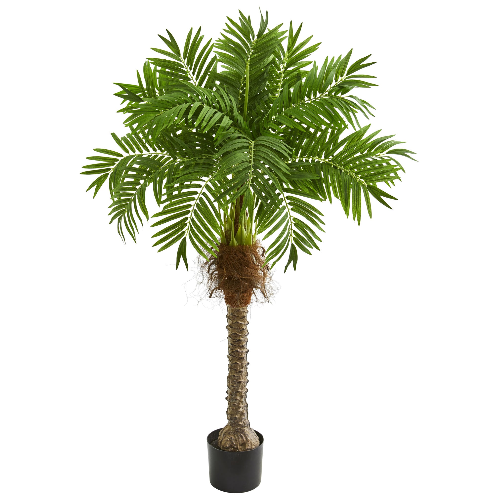 58" Robellini Palm Artificial Tree