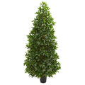 5' Bay Leaf Cone Topiary Tree UV Resistant (Indoor/Outdoor)
