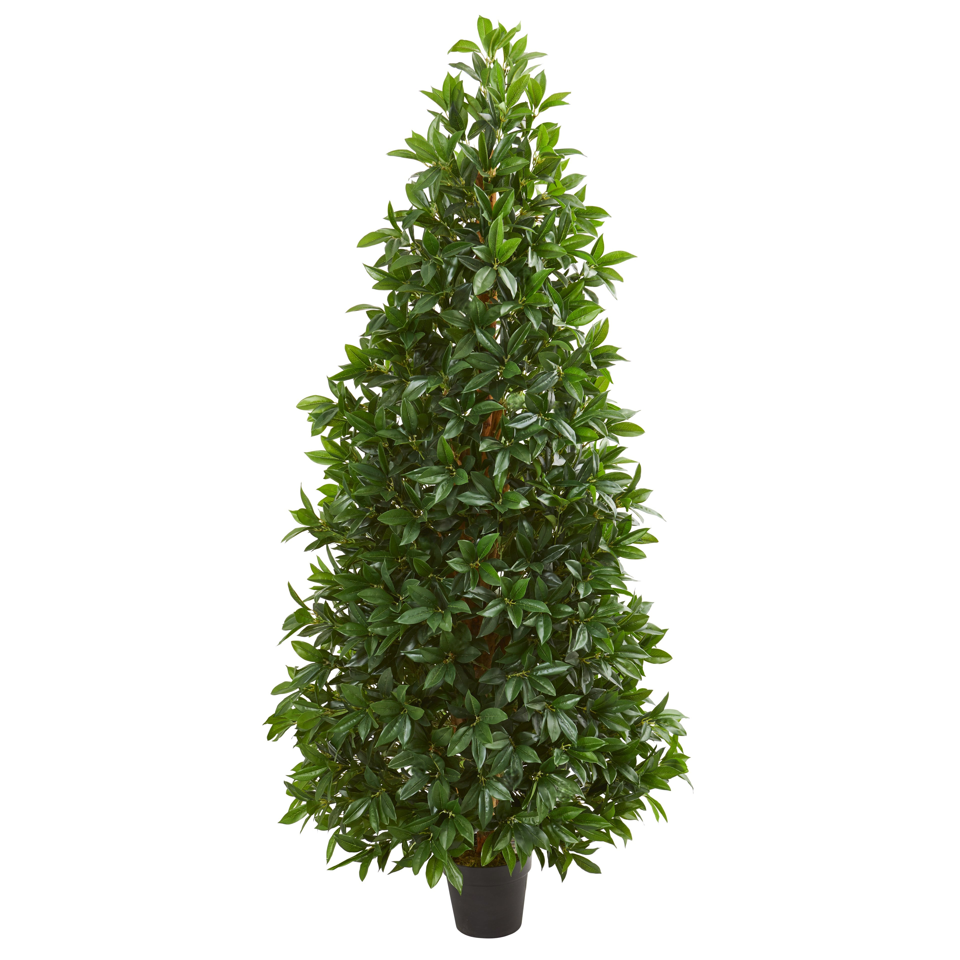 5' Bay Leaf Cone Topiary Tree UV Resistant (Indoor/Outdoor)