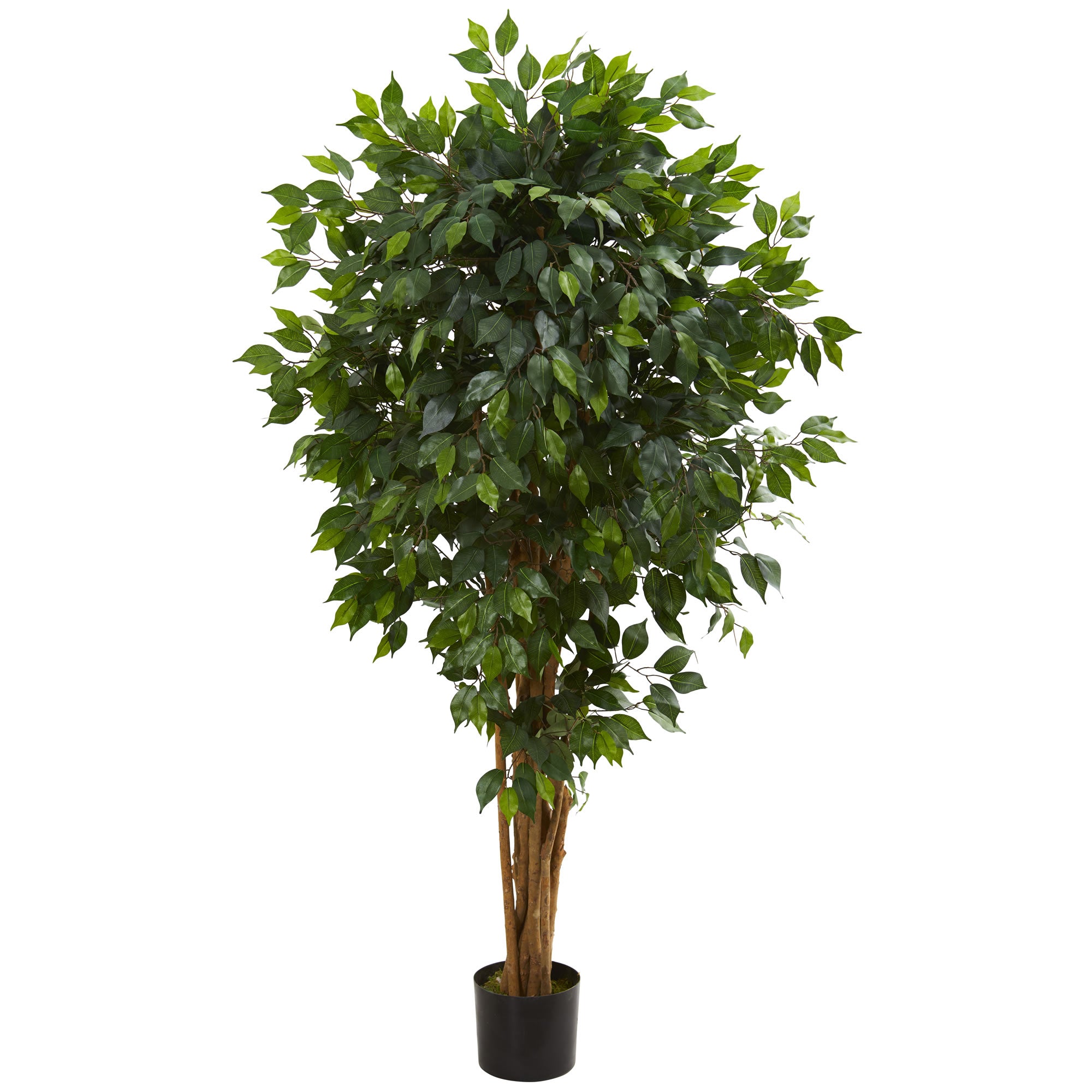 5.5' Ficus Artificial Tree