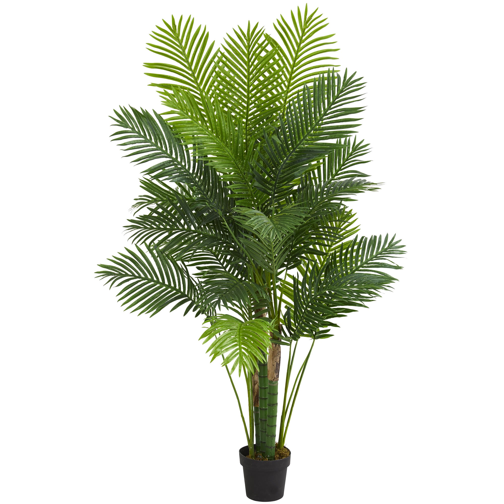 6' Hawaii Palm Artificial Tree