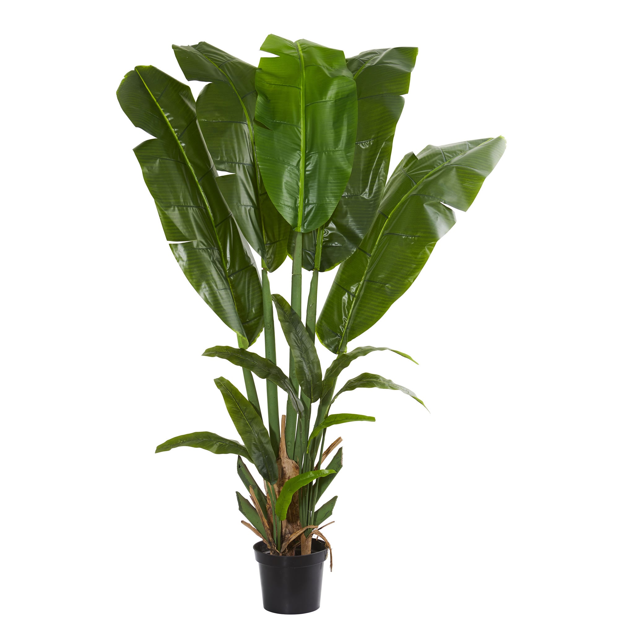 8.5' Giant Travelers Palm Artificial Tree