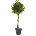 Ficus Tree in Slate Planter UV Resistant (Indoor/Outdoor)