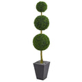 Boxwood Topiary Tree in Planter UV Resist (Indoor/Outdoor)