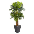 5.5' Triple Areca Palm Tree in Slate Finish Planter