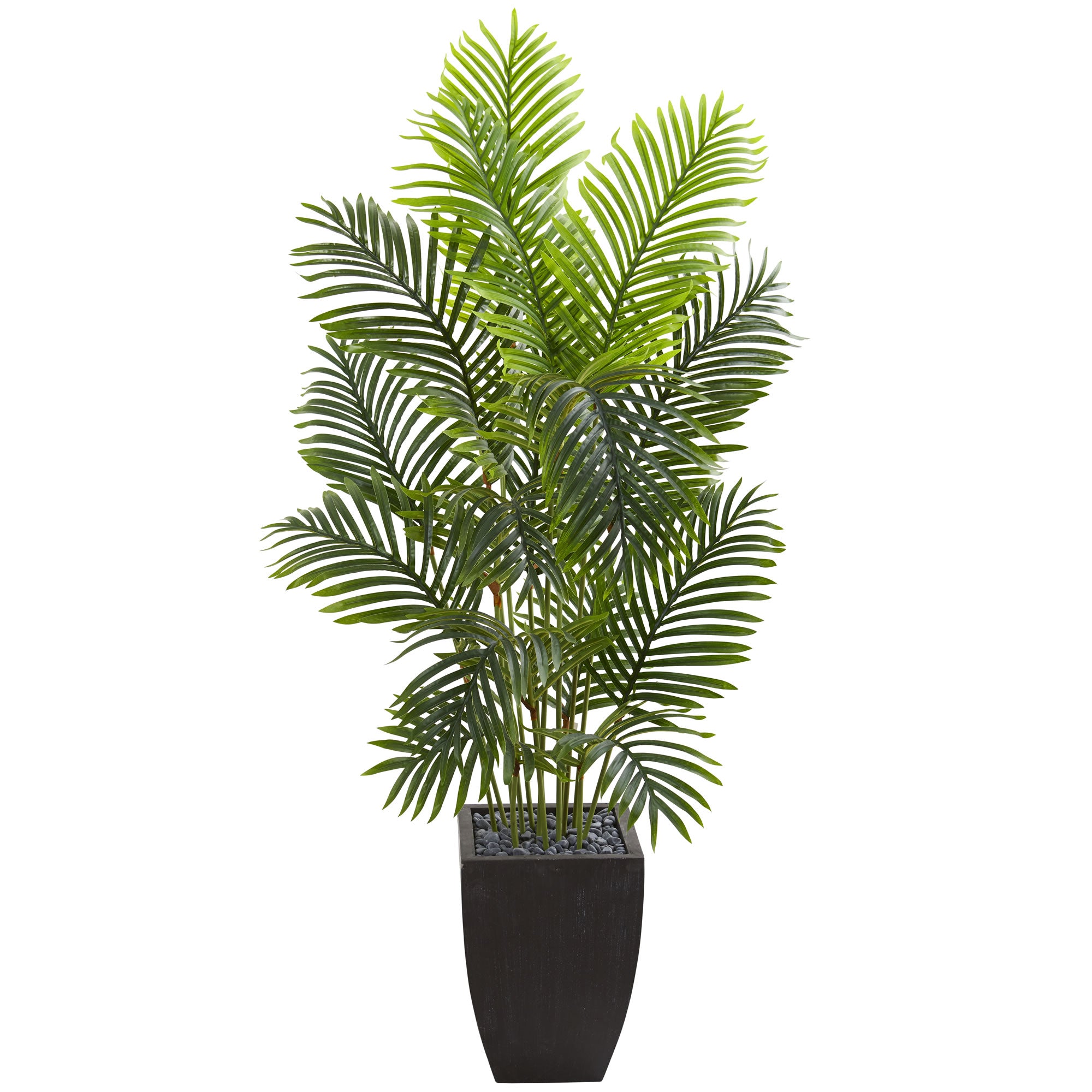 5.5' Paradise Palm Artificial Tree in Square Planter