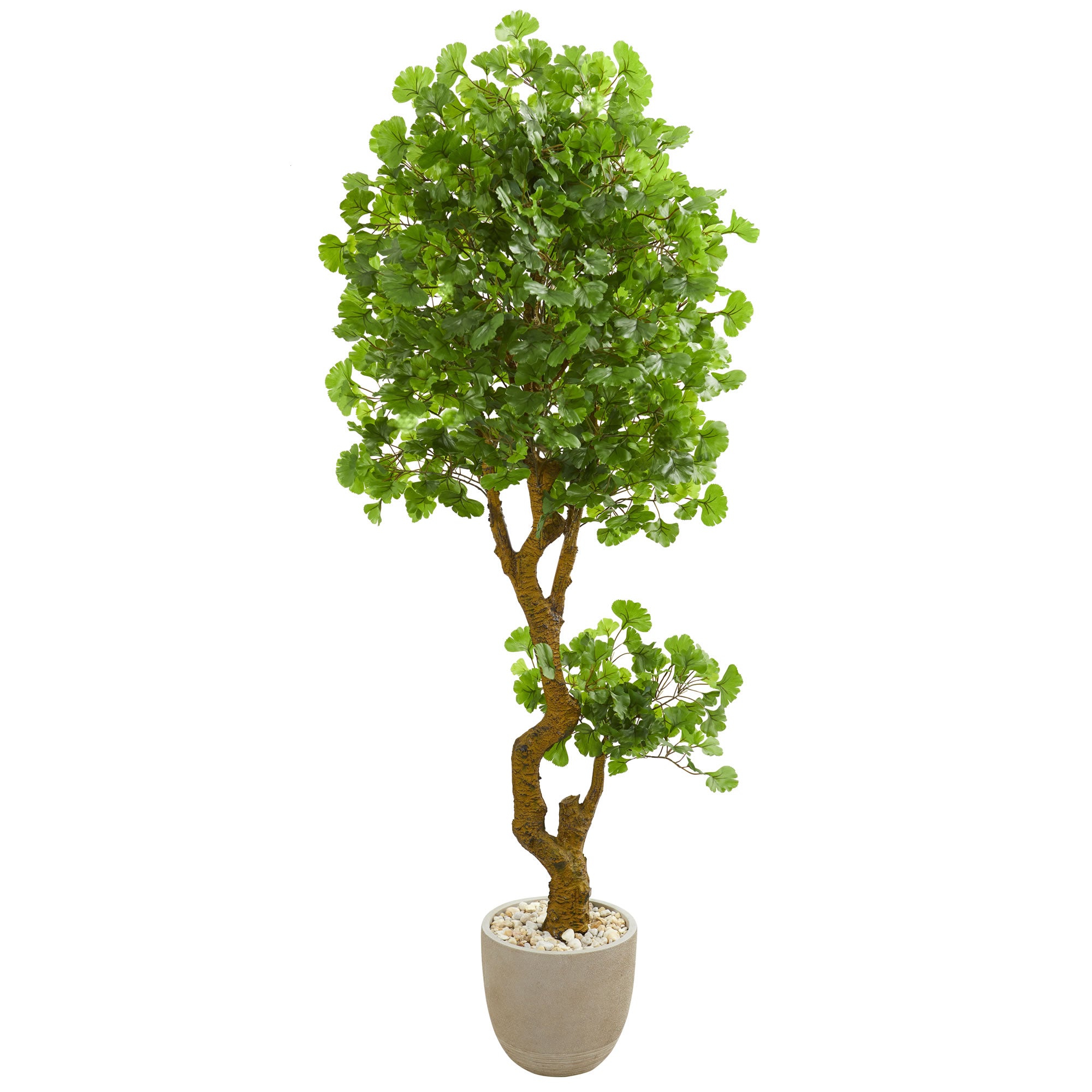 6.5' Jingo Tree in Planter UV Resistant (Indoor/Outdoor)