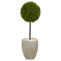 3' Boxwood Topiary Tree in Planter UV Res(Indoor/Outdoor)