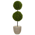 4' Boxwood Topiary Tree in Pot UV Resist (Indoor/Outdoor)