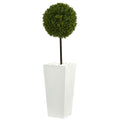 3.5' Boxwood Topiary Tree in Planter UV Res (Indoor/Outdoor)