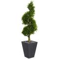 5' Boxwood Topiary Tree Planter UV Res (Indoor/Outdoor)