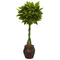 5' Money Artificial Tree in Decorative Planter (Real Touch)