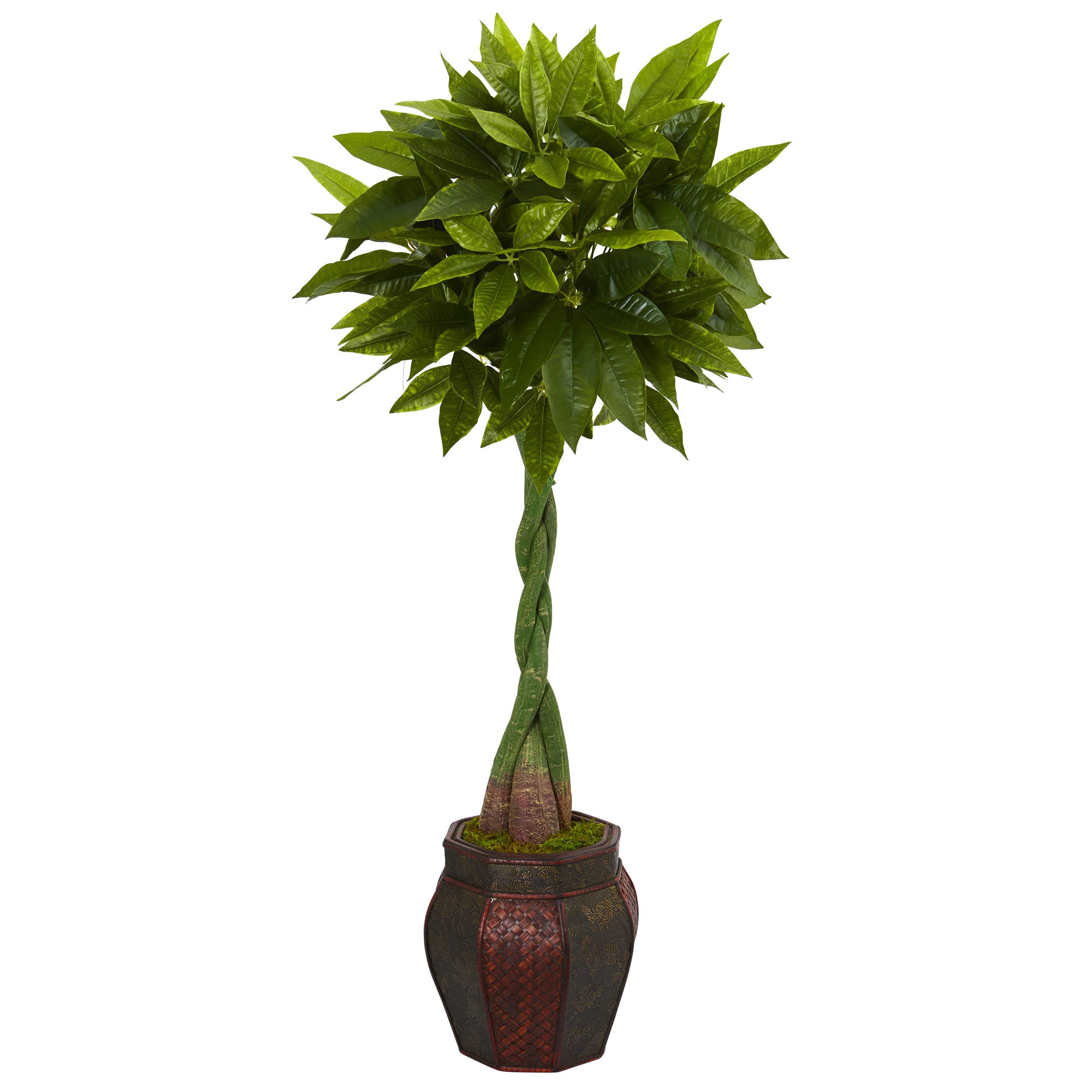5' Money Artificial Tree in Decorative Planter (Real Touch)