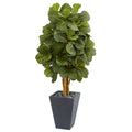 5.5' Fiddle Leaf Artificial Tree in Slate Planter