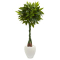 4.5' Money Artificial Tree in White Oval Planter (Real Touch)