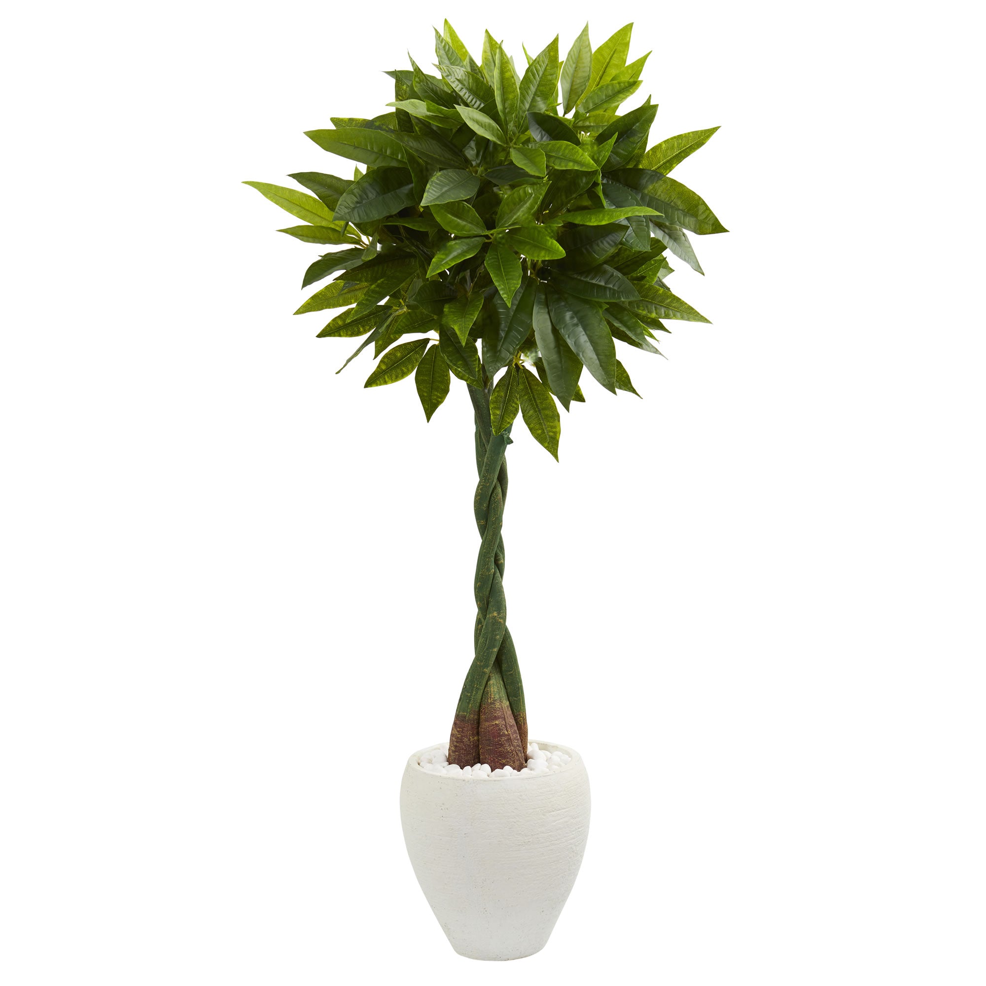 4.5' Money Artificial Tree in White Oval Planter (Real Touch)