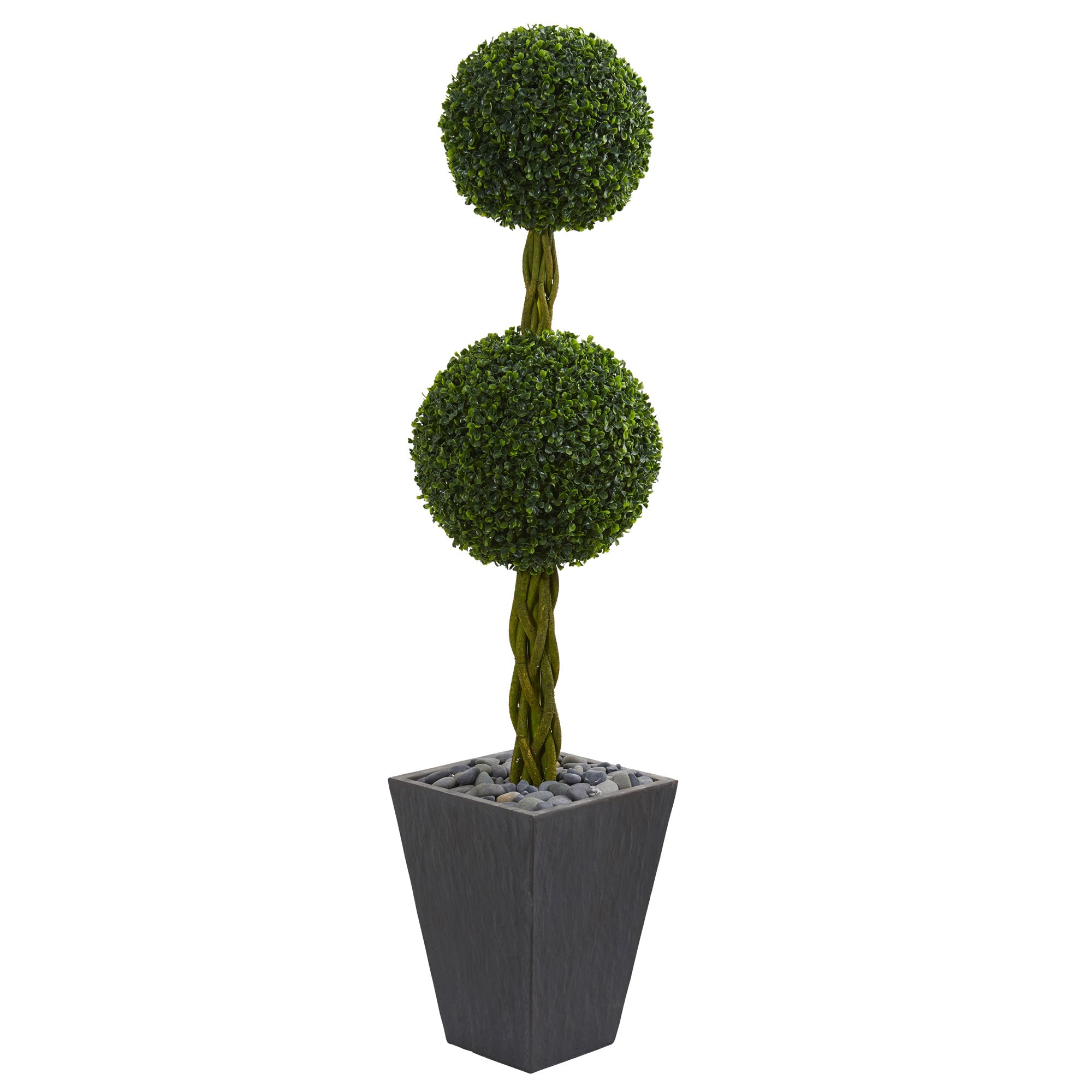 5' Double Boxwood in Slate Planter UV (Indoor/Outdoor)