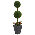 5' Double Boxwood Tree in Planter UV Res(Indoor/Outdoor)