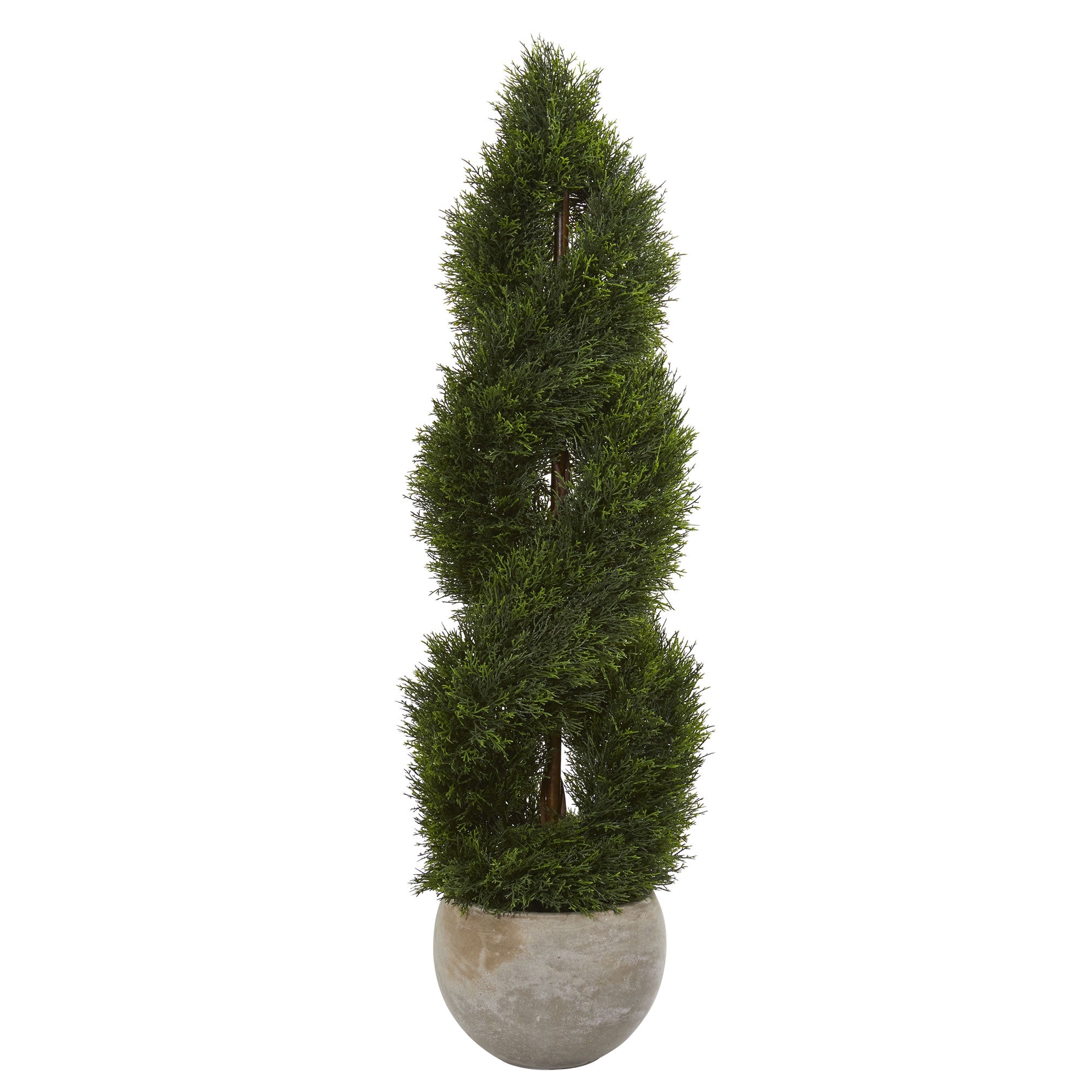 4' Pond Cypress Tree in Planter UV Res (Indoor/Outdoor)