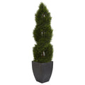 5' Pond Cypress Tree in Planter UV Res(Indoor/Outdoor)