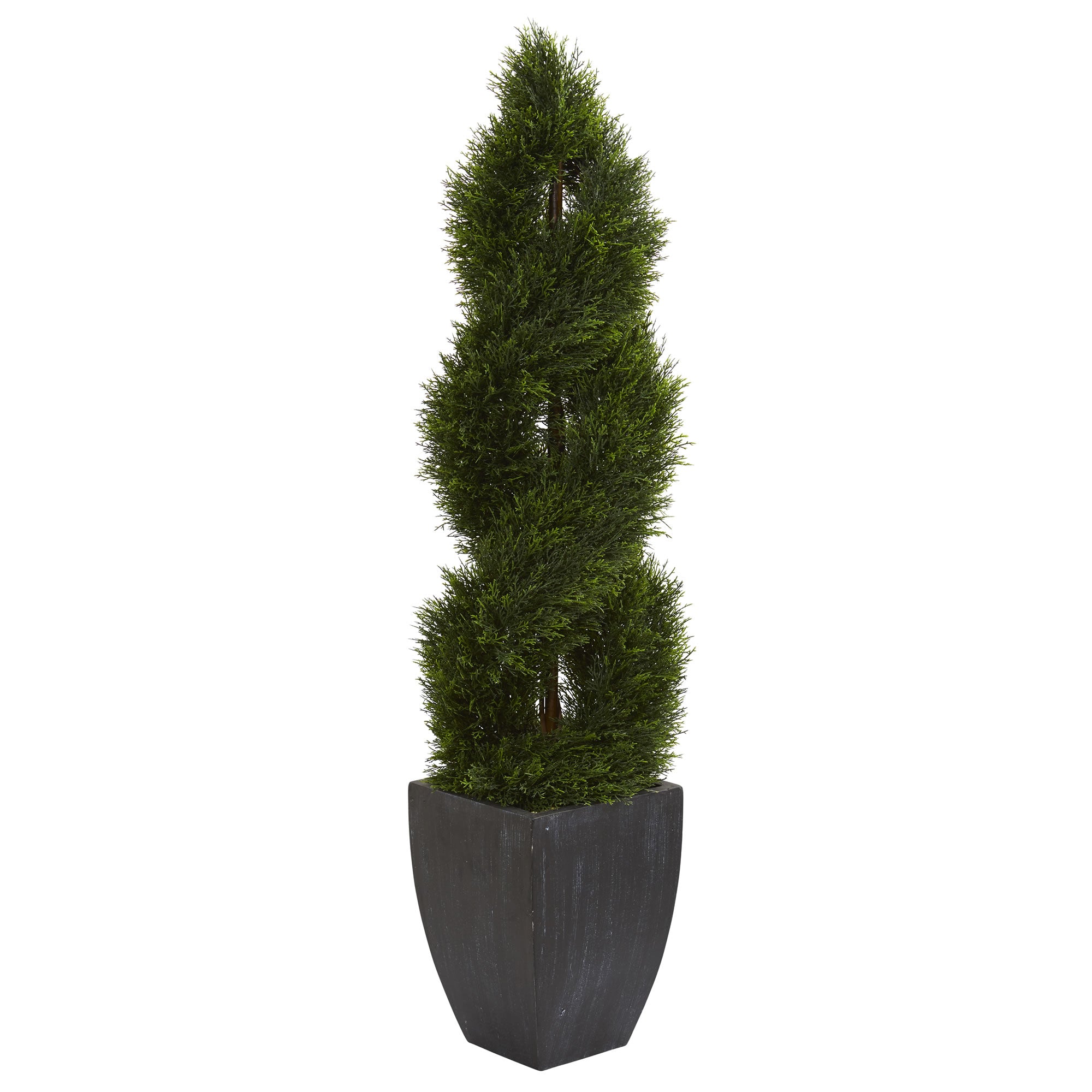 5' Pond Cypress Tree in Planter UV Res(Indoor/Outdoor)