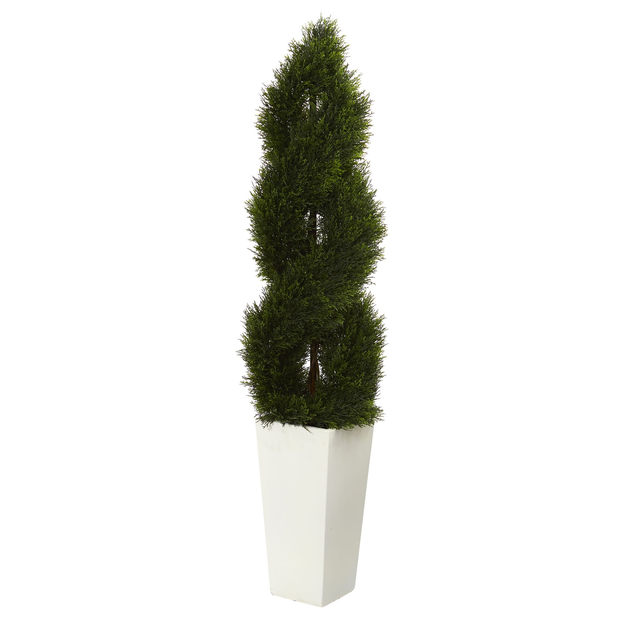 5.5' Pond Cypress Tree in Planter UV Res (Indoor/Outdoor)