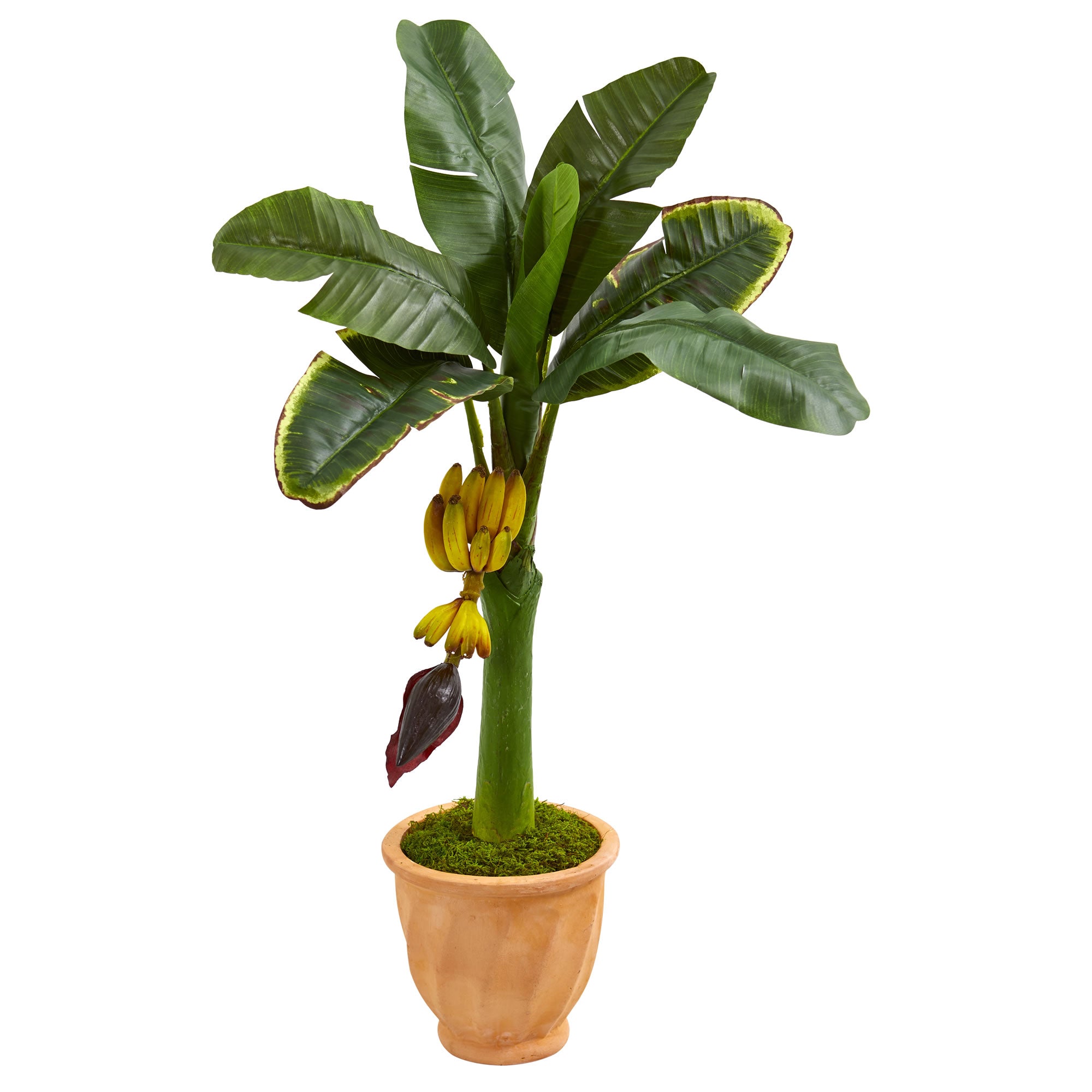 3' Banana Artificial Tree in Terracotta Planter