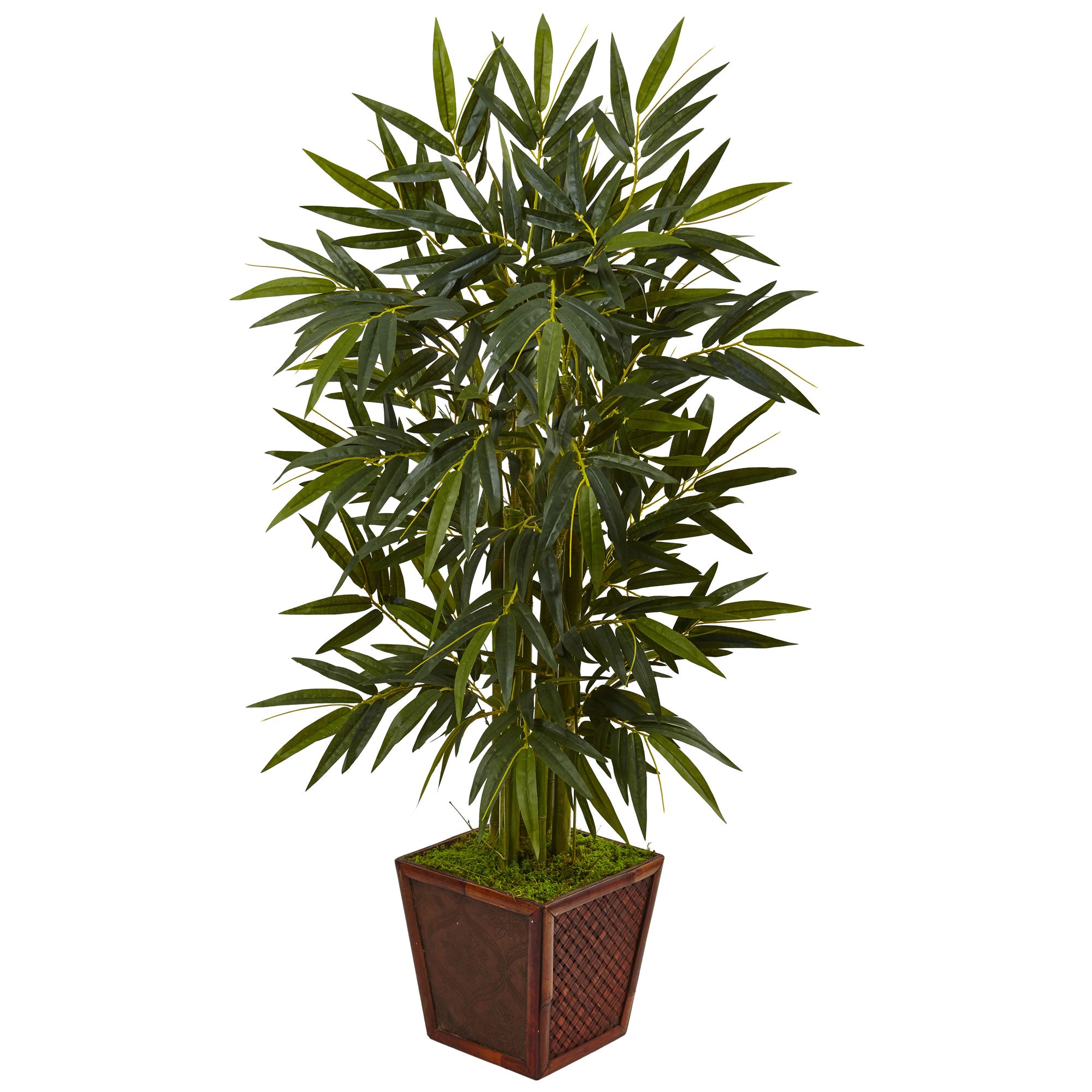 4' Bamboo Tree in Bamboo Planter