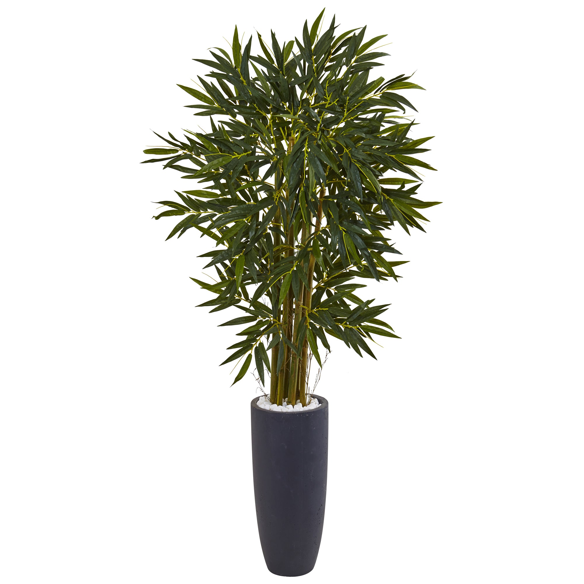 5.5' Bamboo Tree in Gray Cylinder Planter