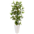 4.5' Bamboo Tree in White Tower Planter