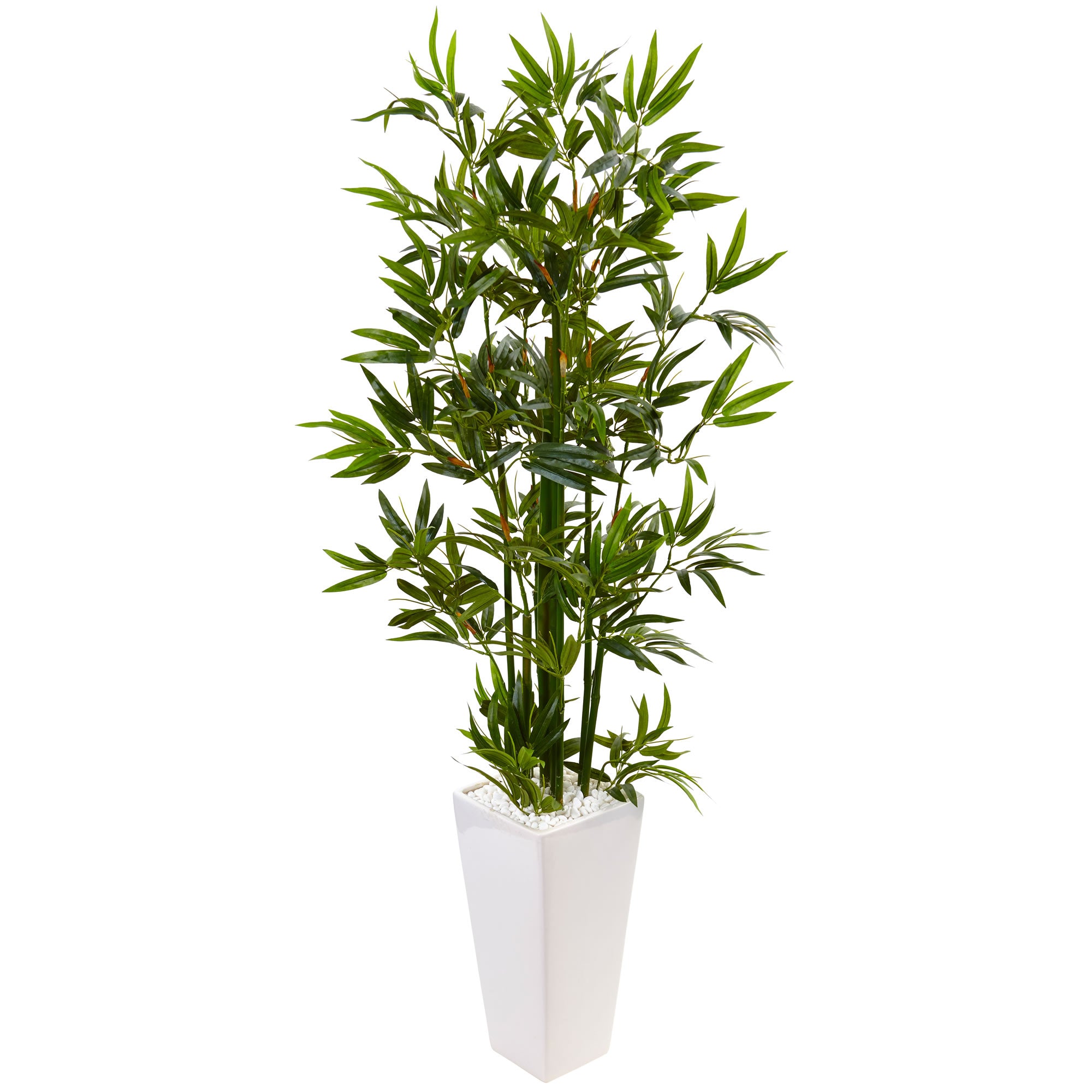 4.5' Bamboo Tree in White Tower Planter