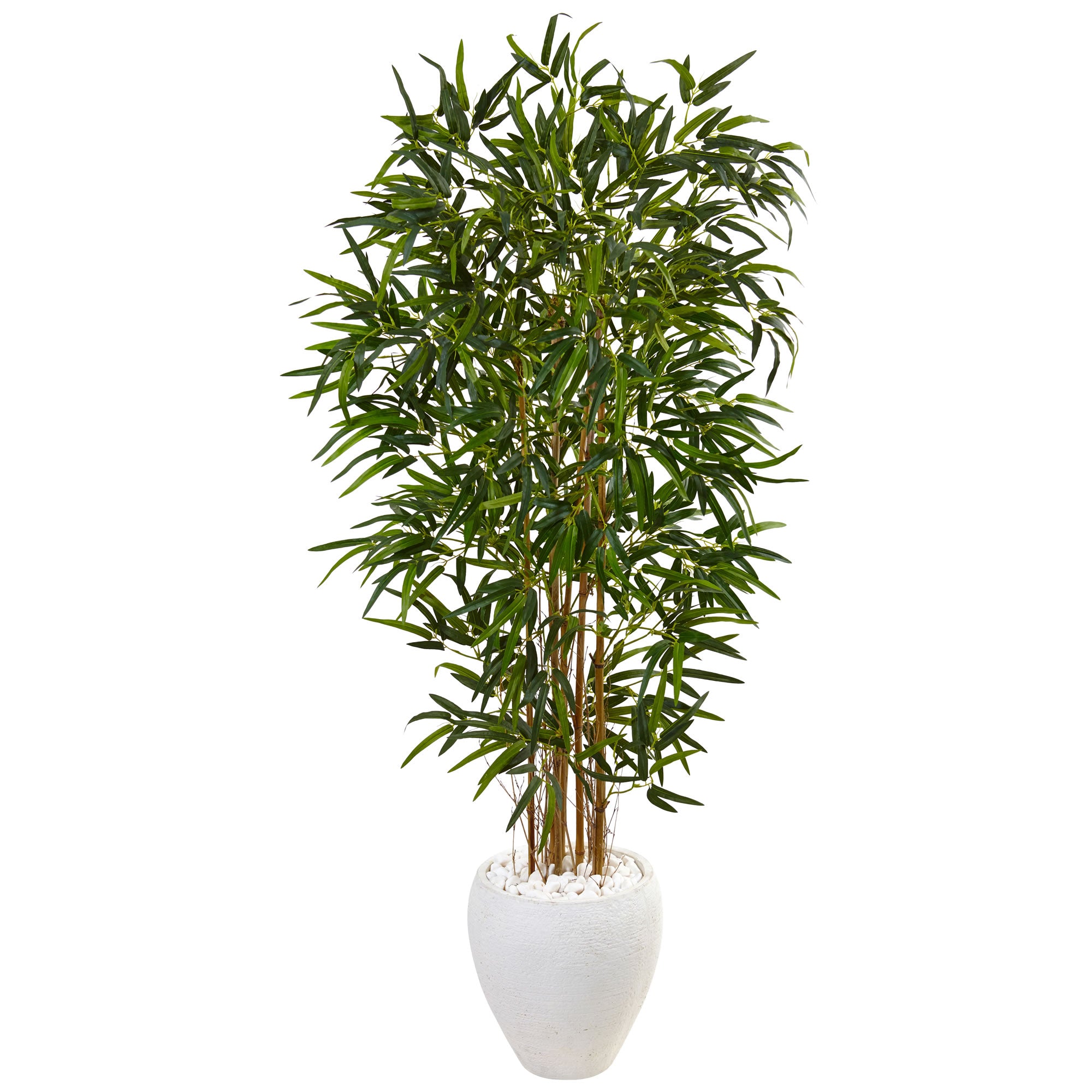 5' Bamboo Tree in Oval White Planter